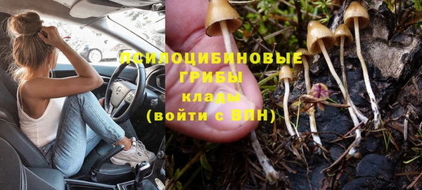 соль курить ск Новозыбков