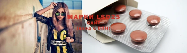 бошки Новодвинск
