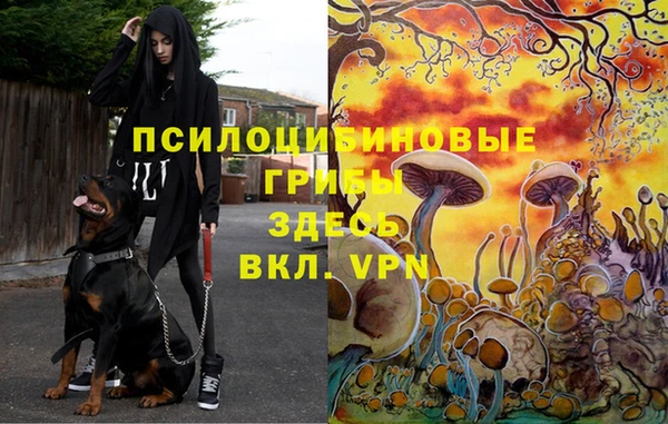 бошки Новодвинск