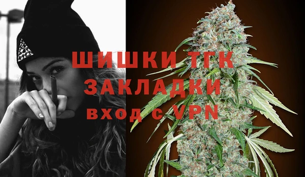 соль курить ск Новозыбков
