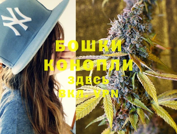 соль курить ск Новозыбков