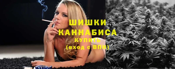 дмт Новокубанск