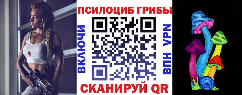 Галлюциногенные грибы Cubensis  Власиха 